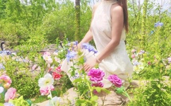 夜晚必看的软件免费下载安装